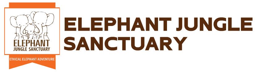 elephant jungle sanctuary tours
