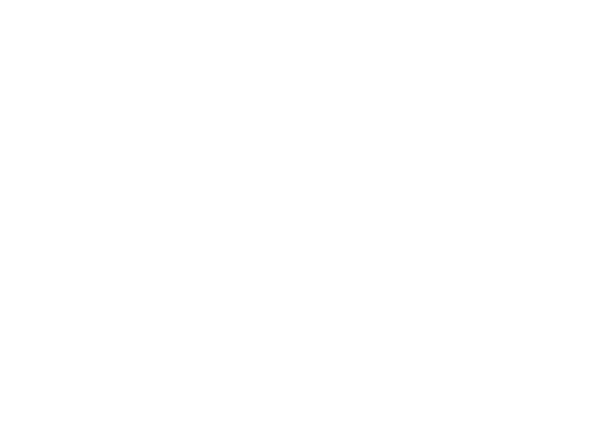 pisanus latex logo