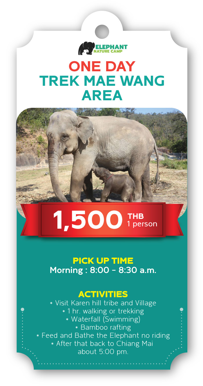 ELEPHANT NATURE CAMP