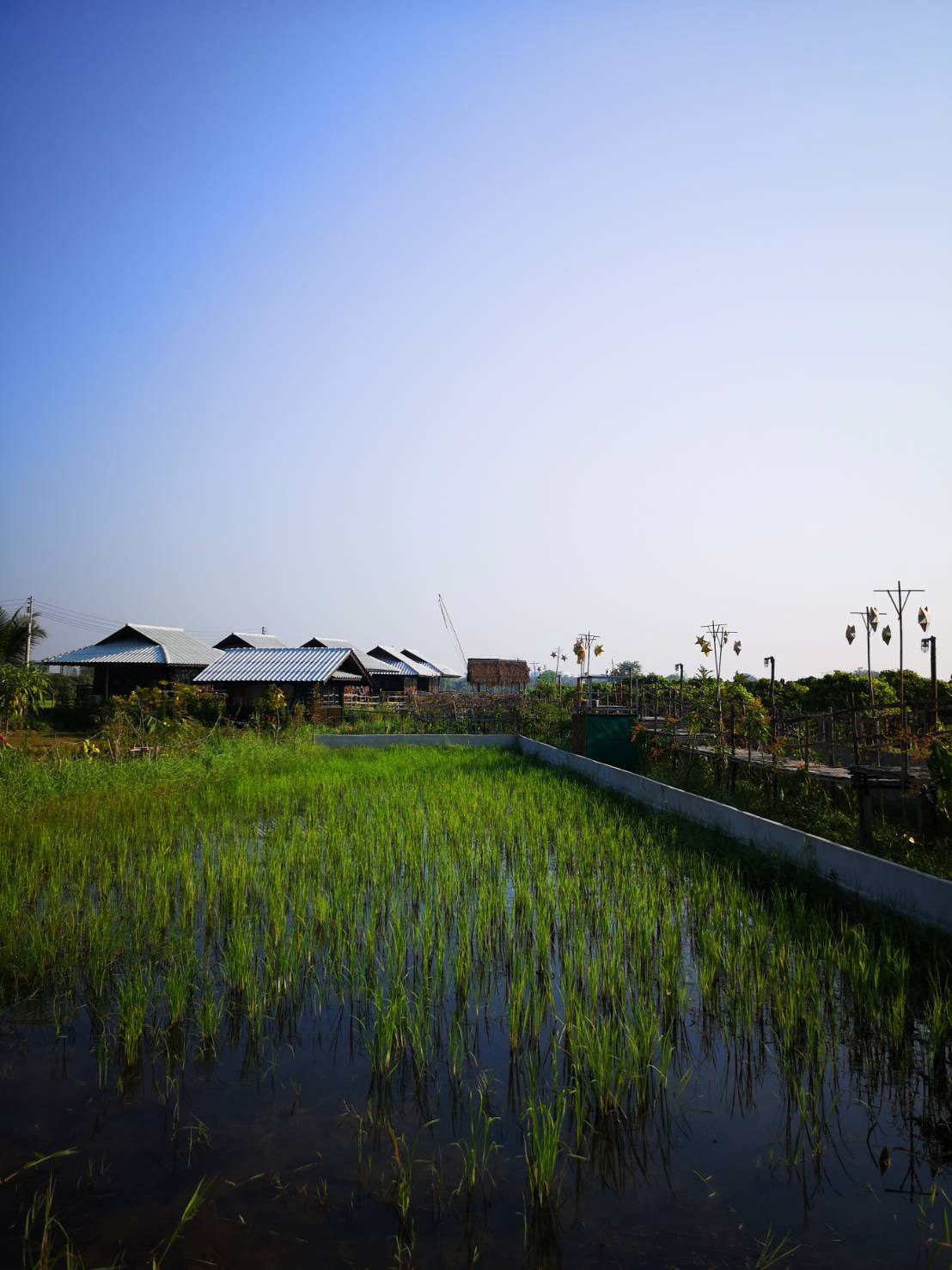 baan tong long