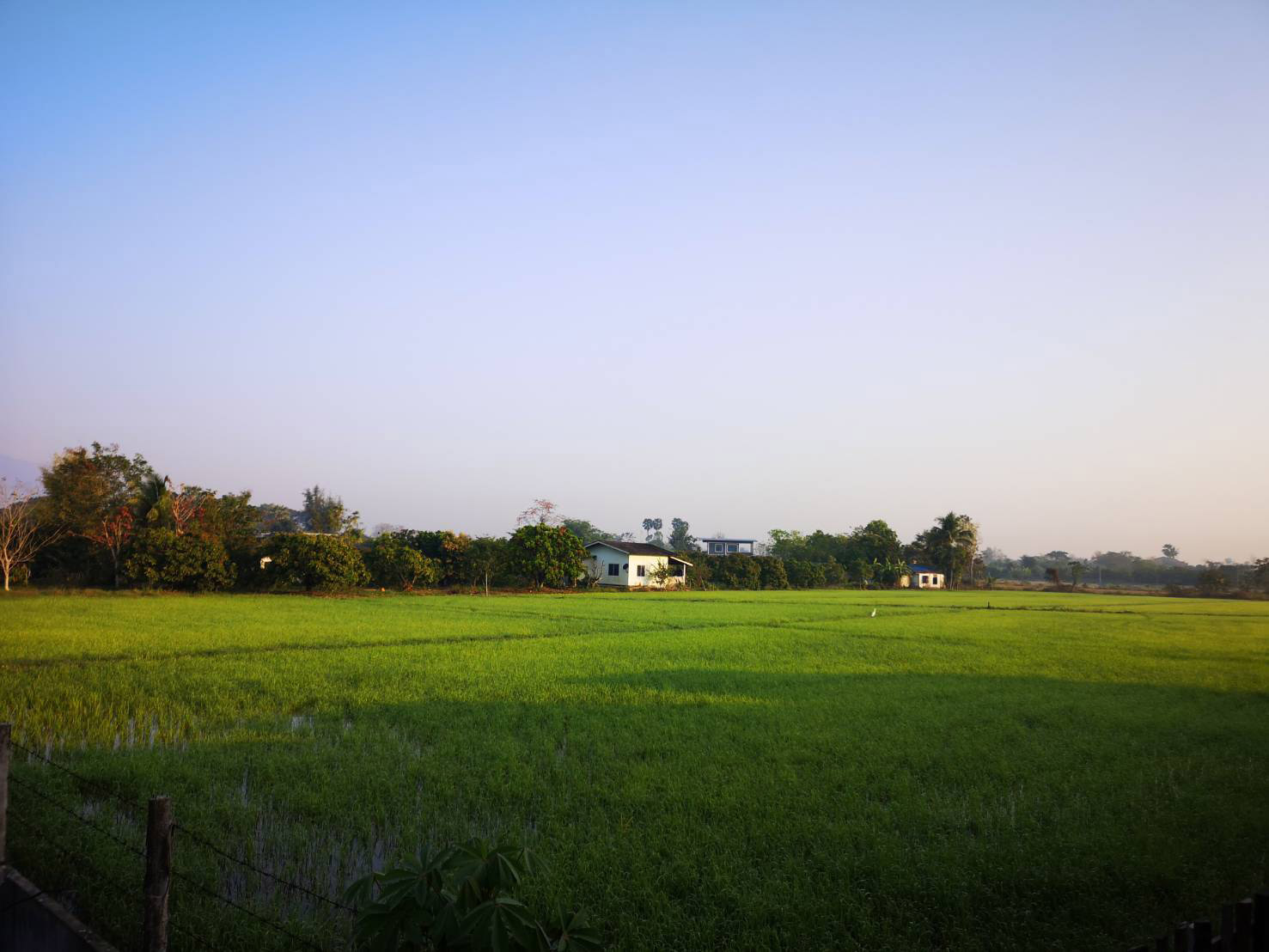 baan tong long