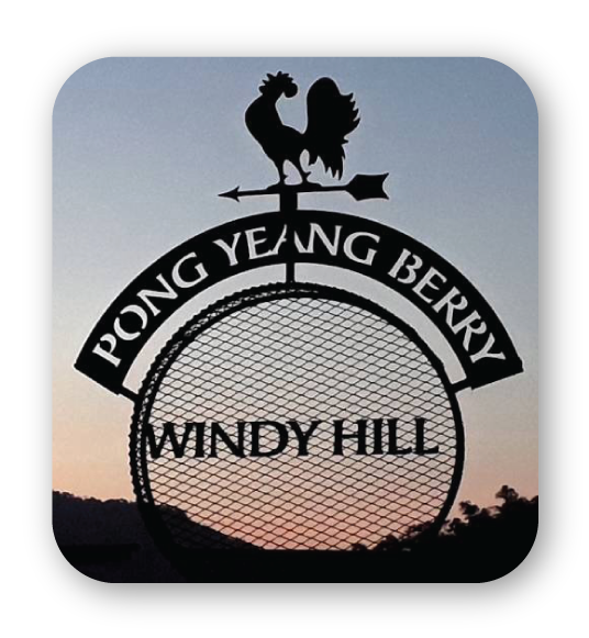 pong yeang berry windyhill