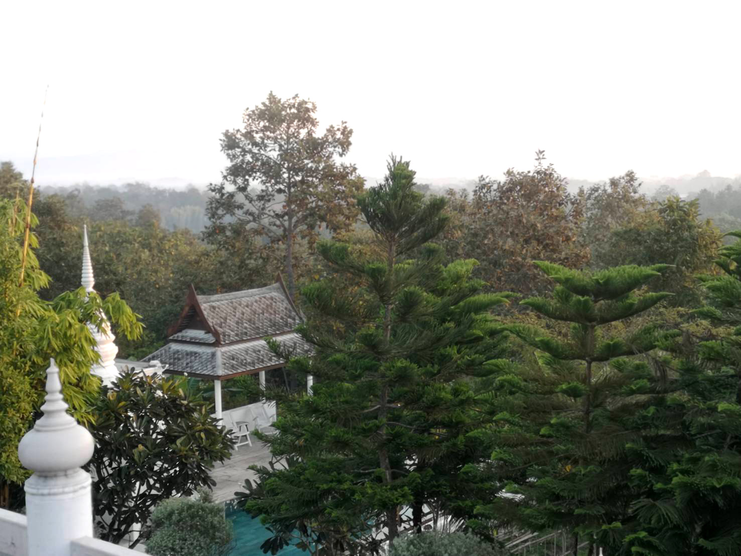 Amaravati​ Wellness​ Center​