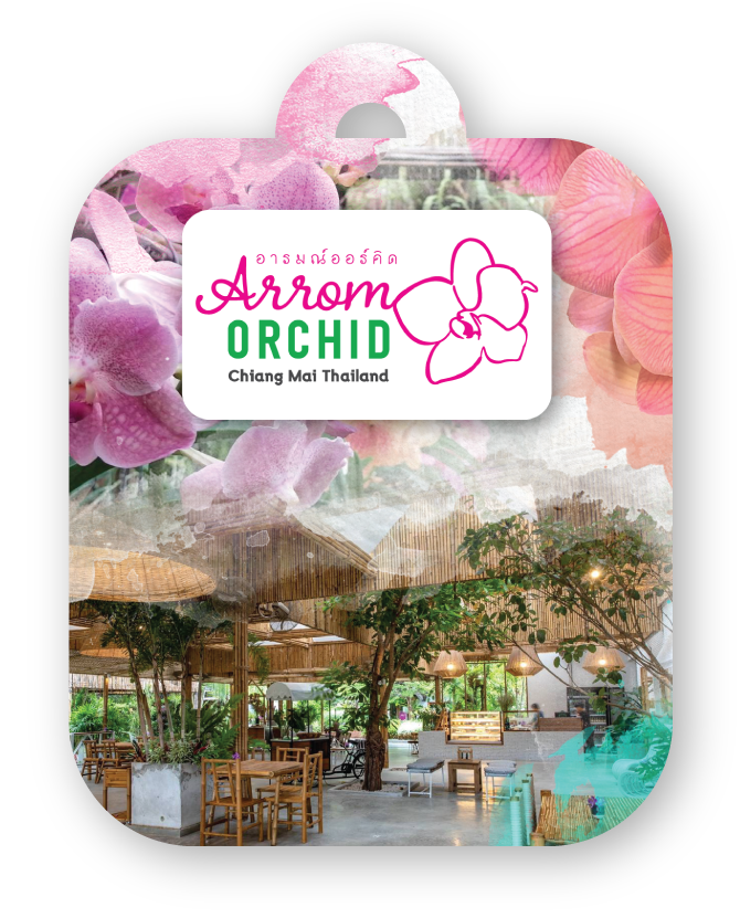 arrom-orchid