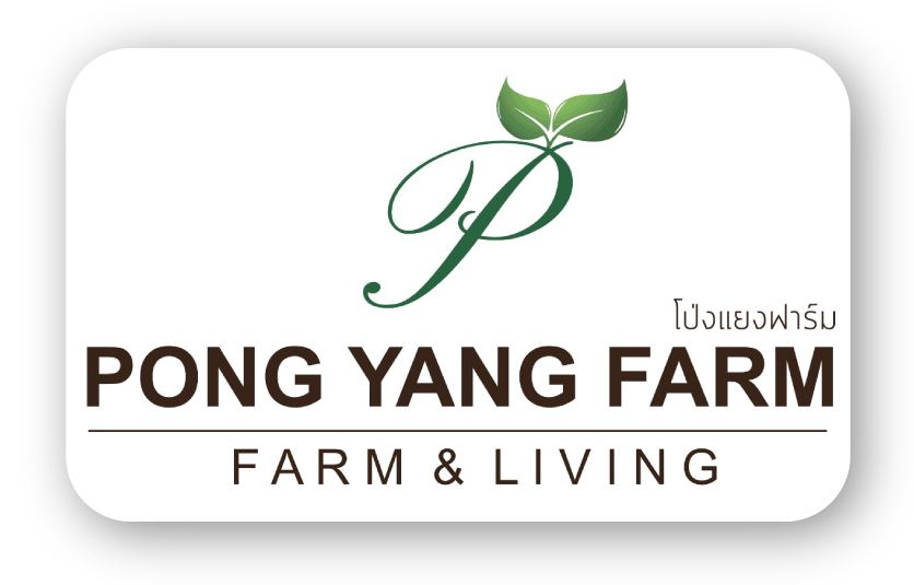PONG YANG FARM