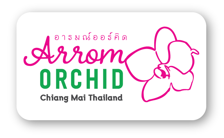 arrom orchid