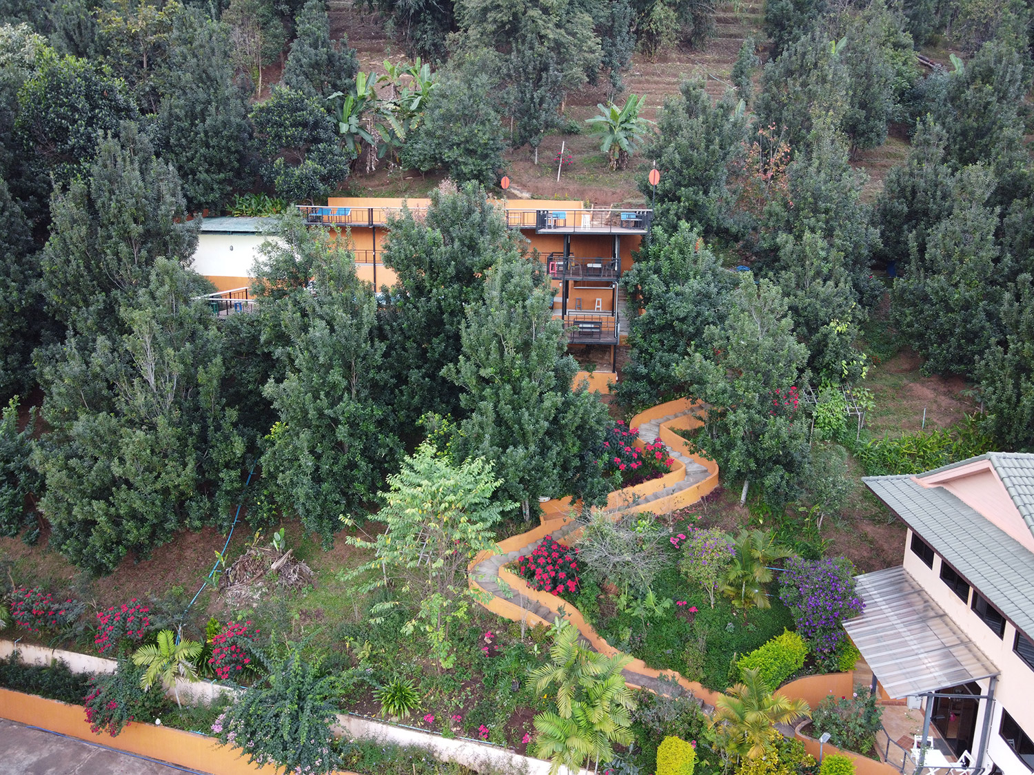 PONG YANG FARM