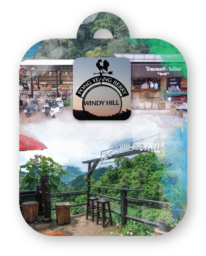 pong-yeang-berry-windyhill