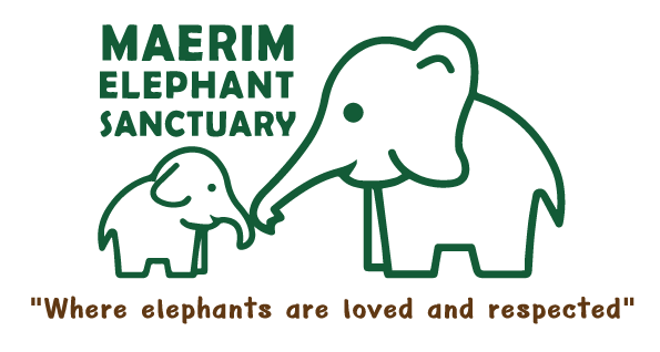 Maerim elephant sanctuary