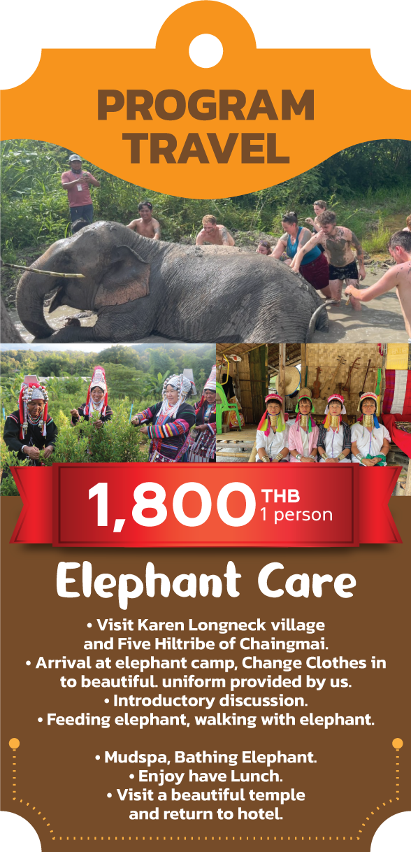 sawasdee elephant care