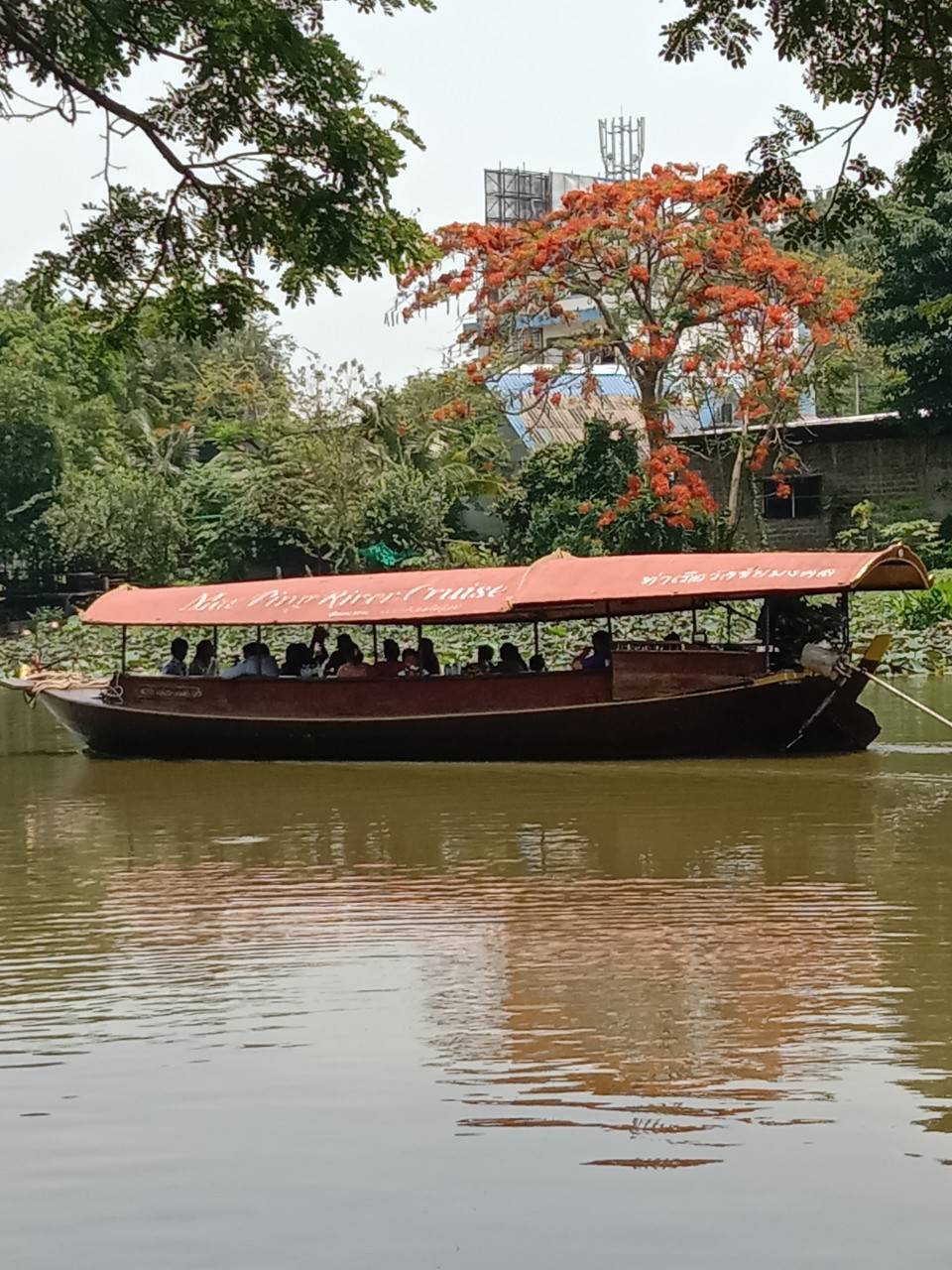 maeping river cruise