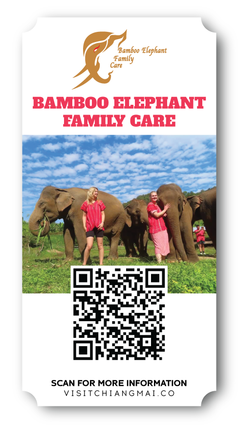 Bamboo Elephant Family Care