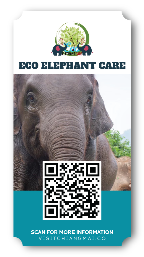 eco elephant care