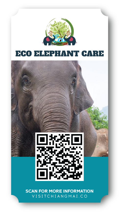 Eco Elephant care