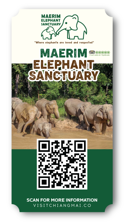 Maerim elephant sanctuary