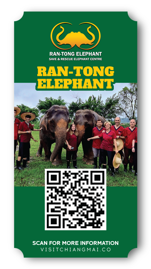 ran tong elephant