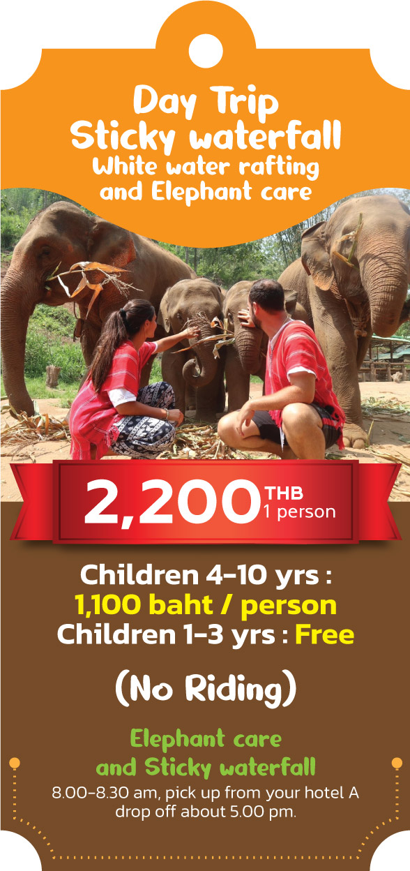 bamboo elephant family care