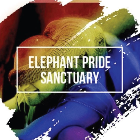 elephant pride sanctuary