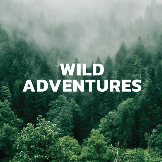 wild adventures
