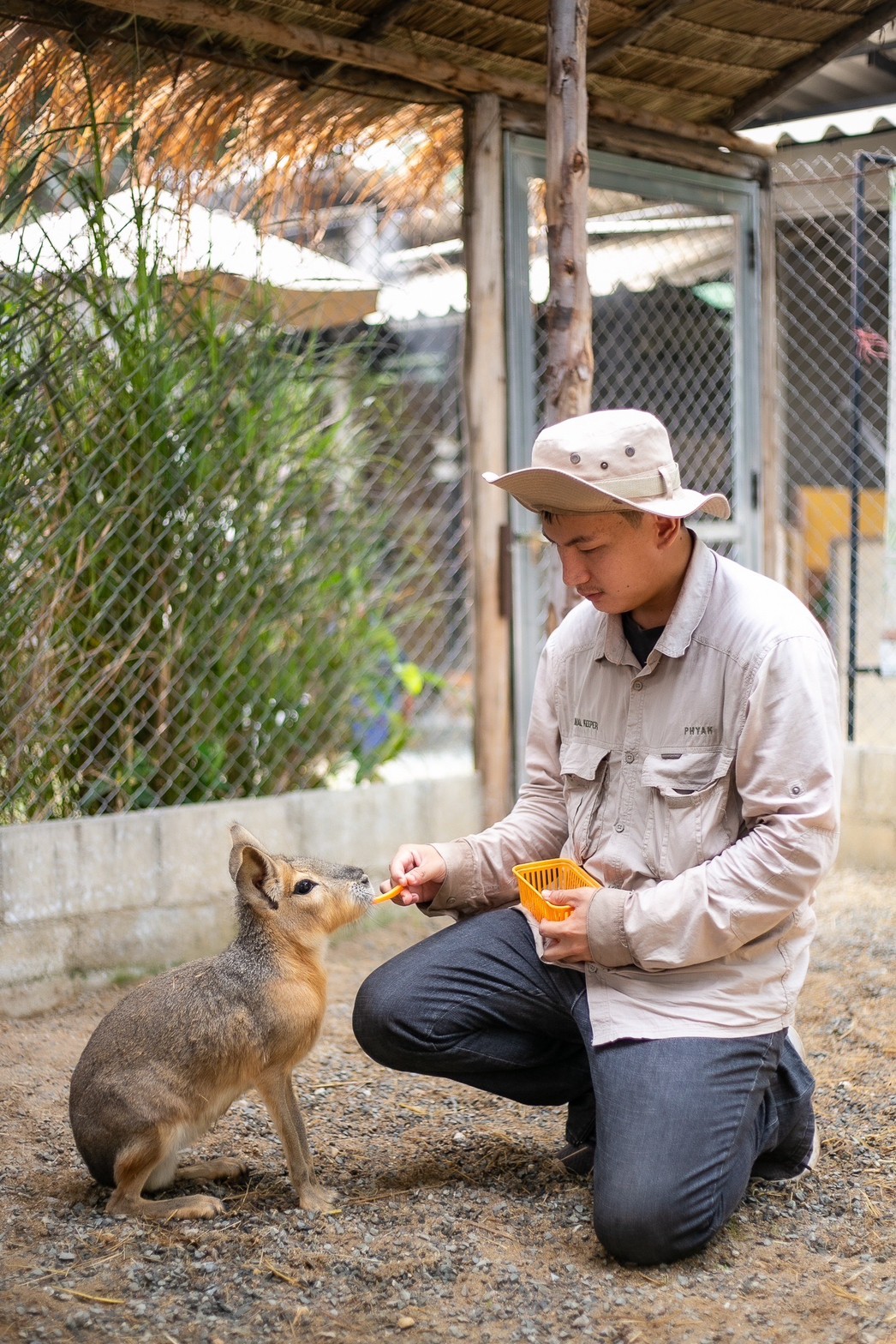 le petit zoo