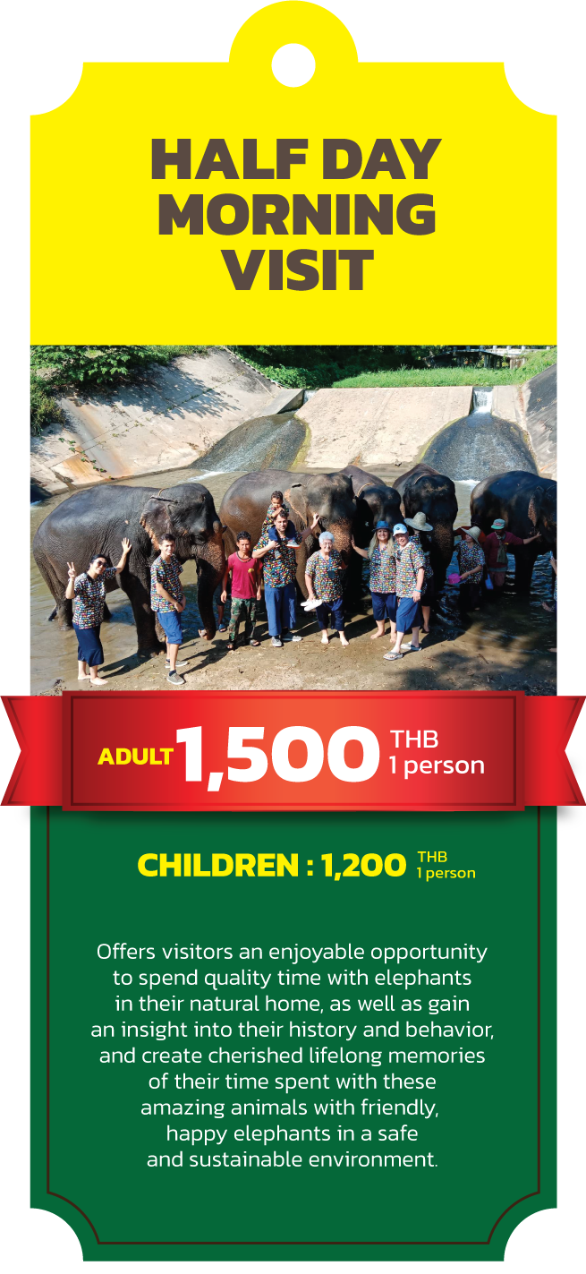 kanta elephant sanctuary