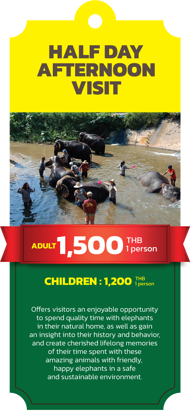 kanta elephant sanctuary