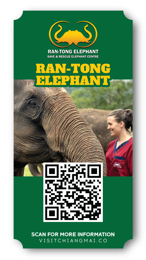 ran tong elephant