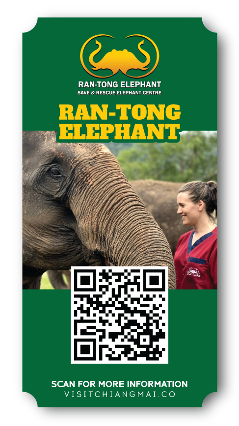 ran tong elephant