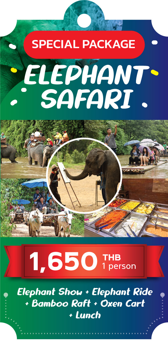 maetaeng elephant park