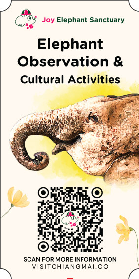 joy elephant sanctuary