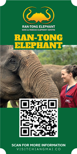 ran tong elephant