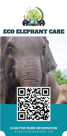 ECO ELEPHANT CARE