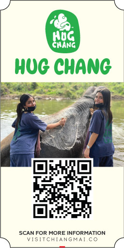 hug chang