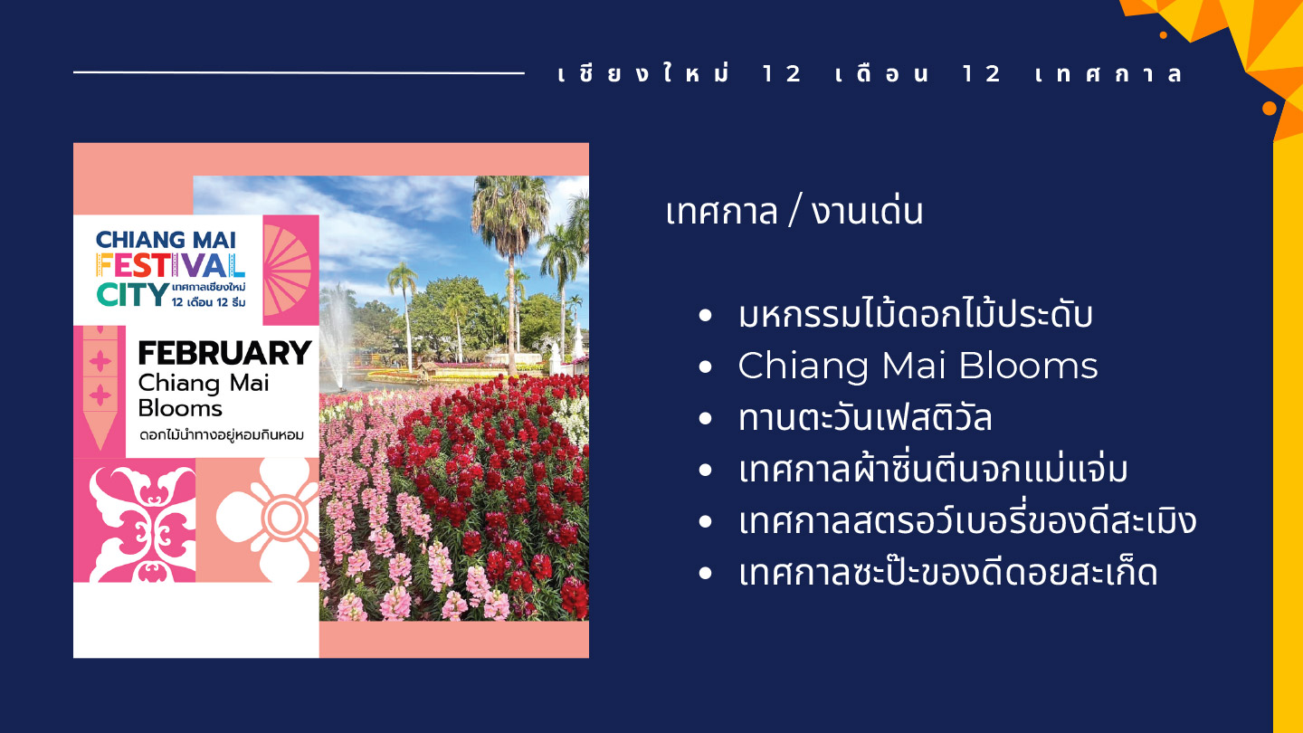 chiangmai festival city