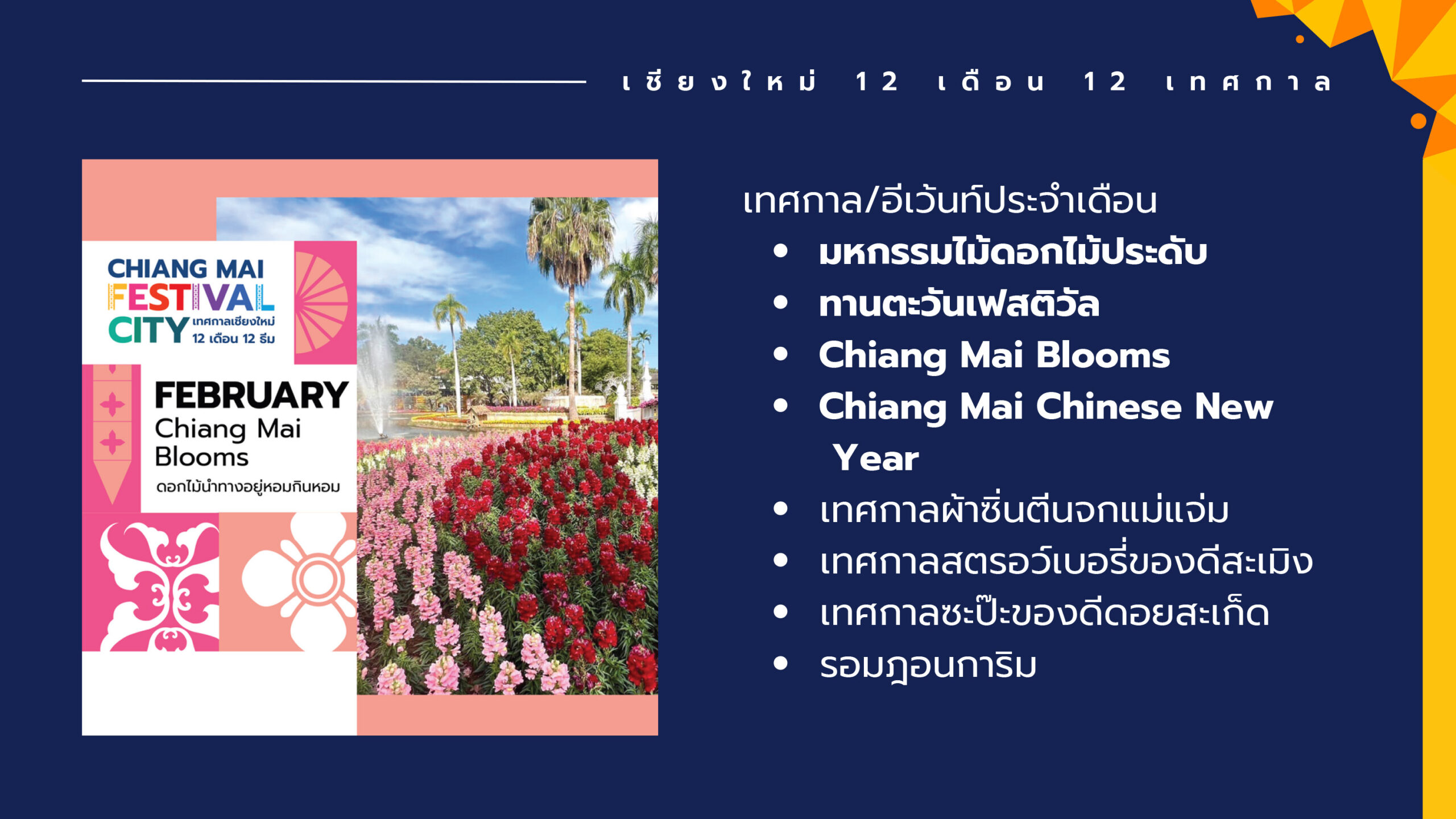 chiangmai festival city
