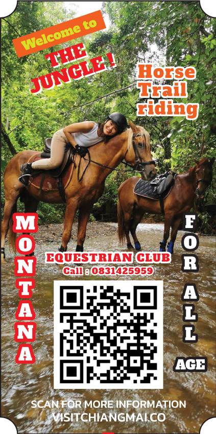 HORSE TRAIL RIDING