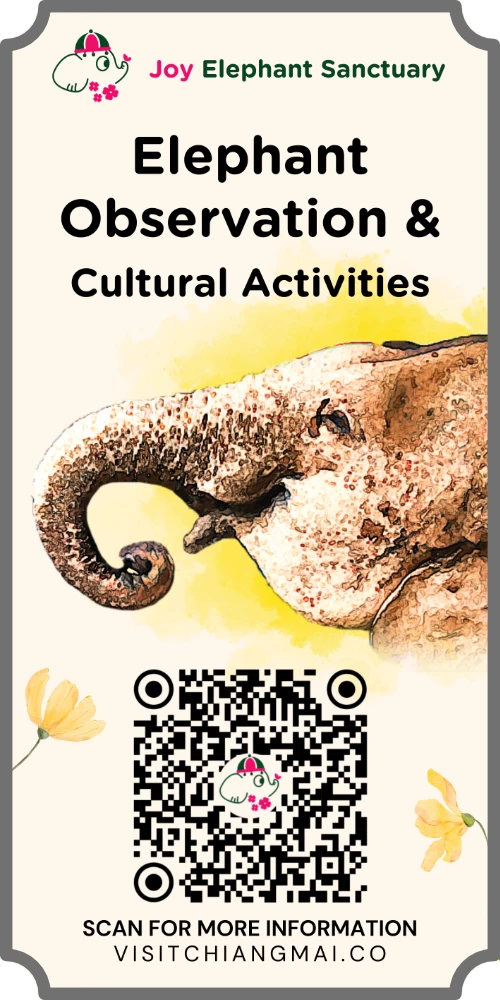 joy elephant