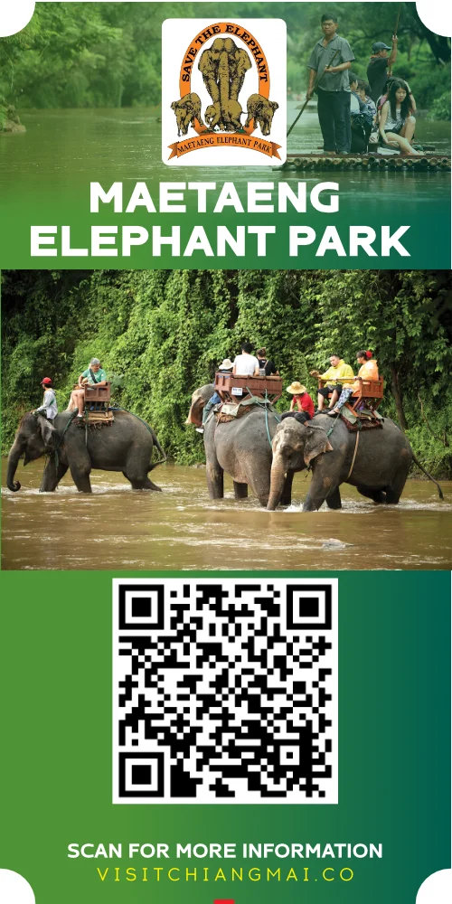 pang chang mae taeng elephant